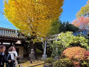 F.T.S. Japan Travel 6