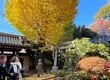 F.T.S. 日本旅遊 6